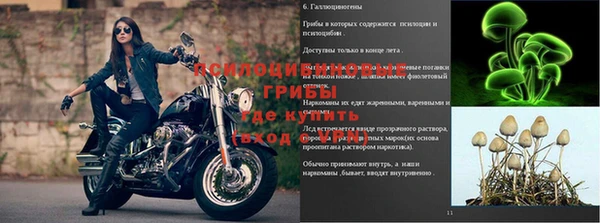 амф Алексин