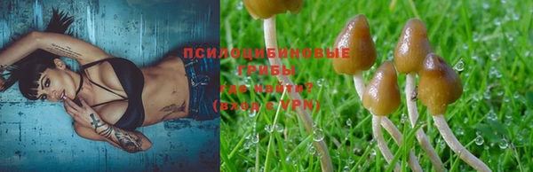 трава Алзамай